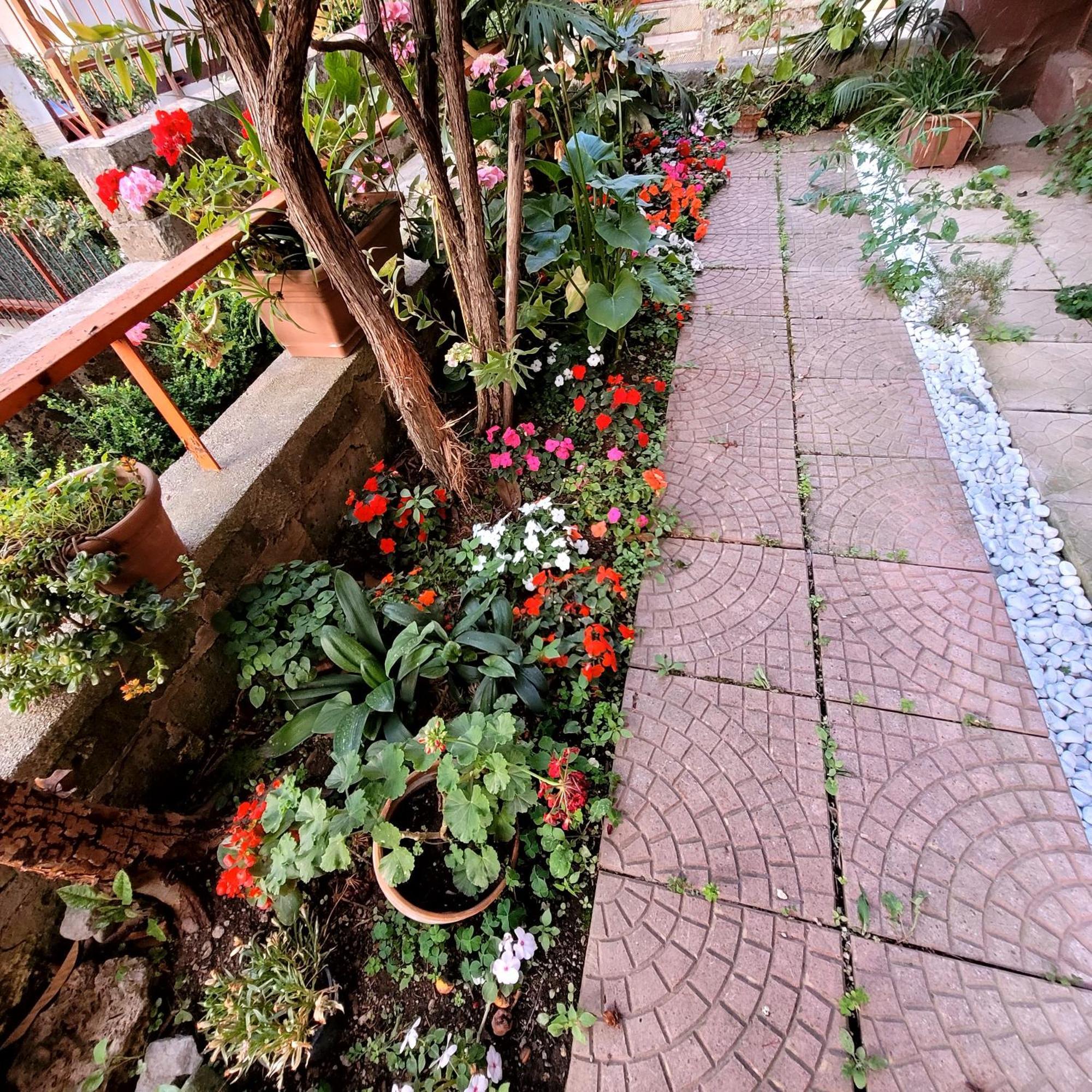 Casa Anselmo Guest House パガーニ エクステリア 写真