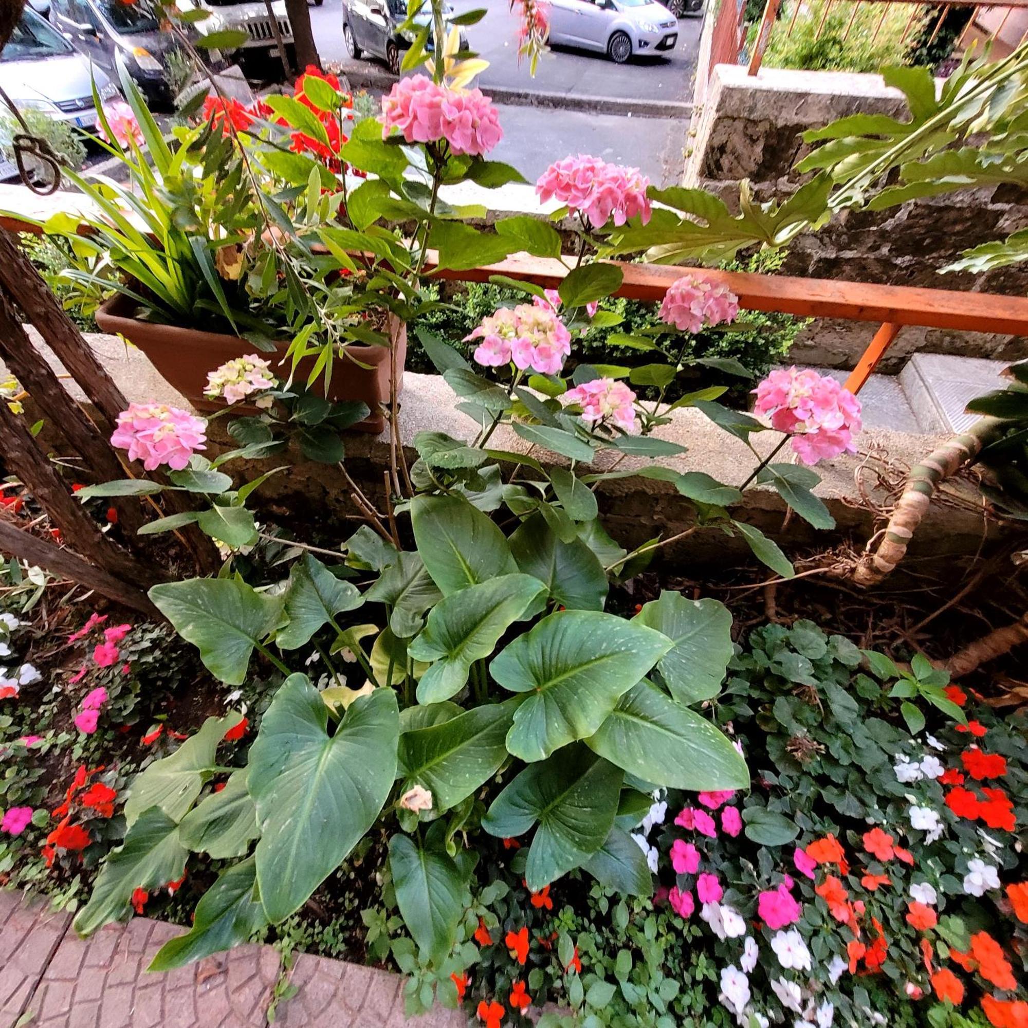 Casa Anselmo Guest House パガーニ エクステリア 写真